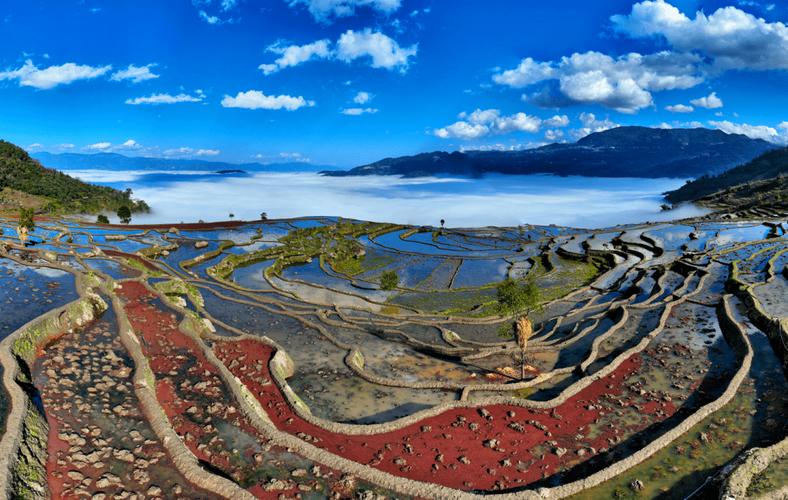 守护七彩云南美丽净土 云南扎实推进农用地土壤污染防治与治理