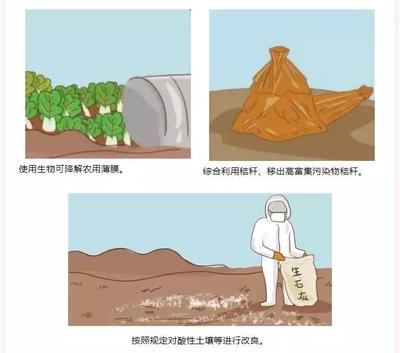 守护大地，人人有责 防治土壤污染，普通公众能做什么？